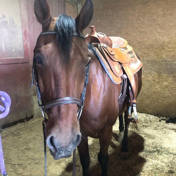 Meet your Posher, Grace - Picture 1 of 1